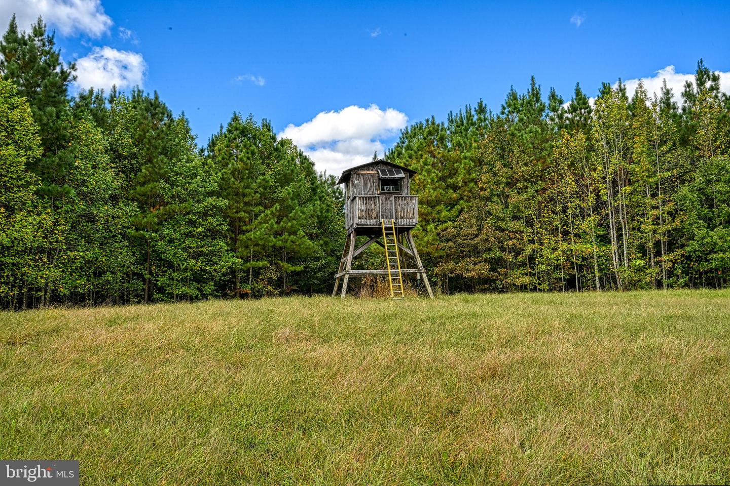 CROSS COUNTRY RD., MINERAL, Virginia 23117, ,Farm,For sale,CROSS COUNTRY RD.,VALA2008722 MLS # VALA2008722