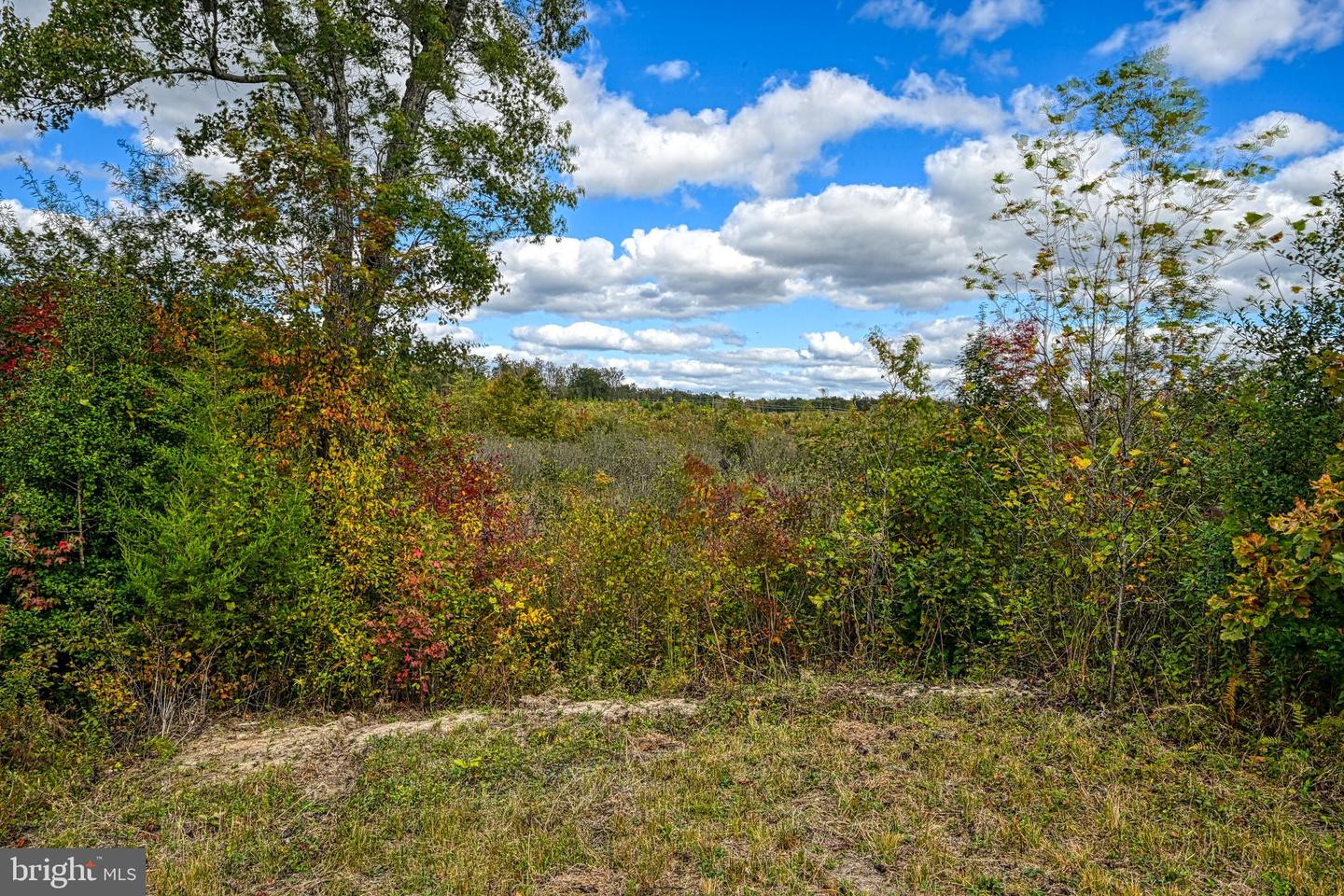 CROSS COUNTRY RD., MINERAL, Virginia 23117, ,Farm,For sale,CROSS COUNTRY RD.,VALA2008722 MLS # VALA2008722