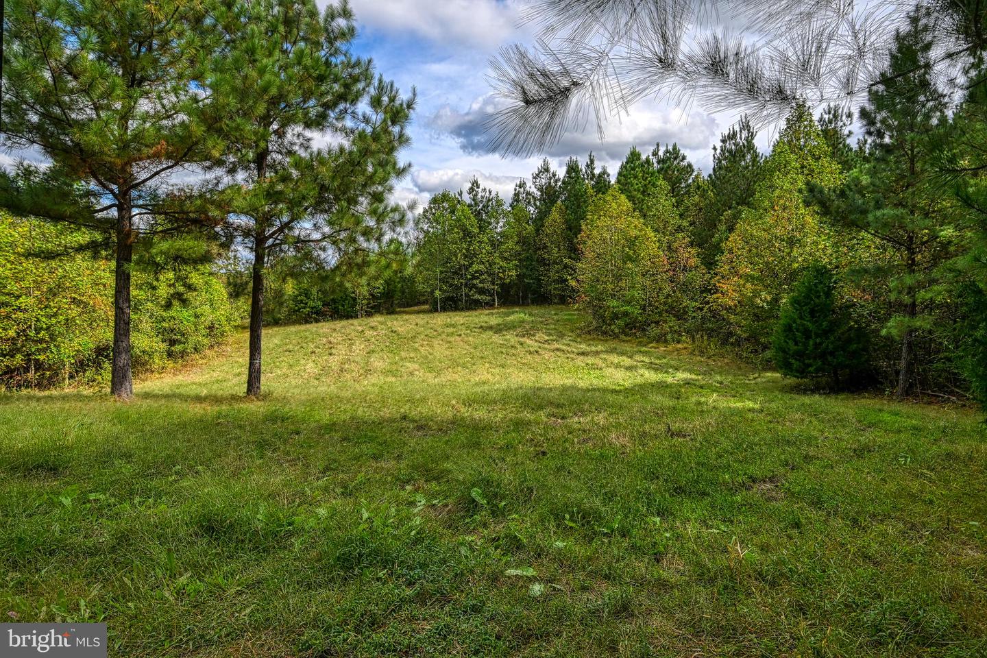 CROSS COUNTRY RD., MINERAL, Virginia 23117, ,Farm,For sale,CROSS COUNTRY RD.,VALA2008722 MLS # VALA2008722