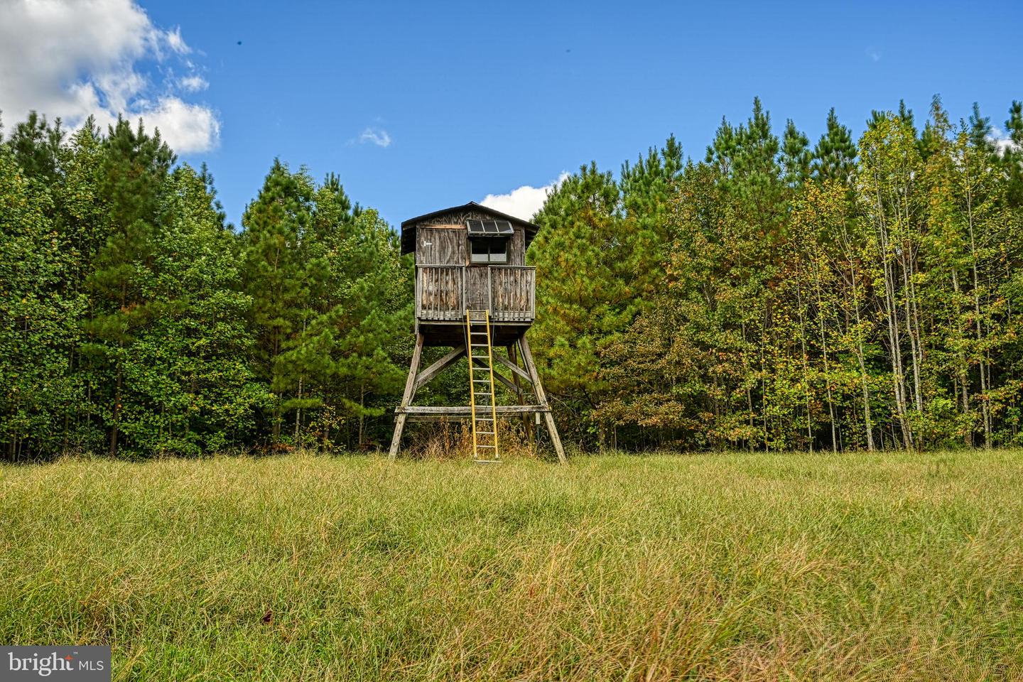 CROSS COUNTRY RD., MINERAL, Virginia 23117, ,Farm,For sale,CROSS COUNTRY RD.,VALA2008722 MLS # VALA2008722