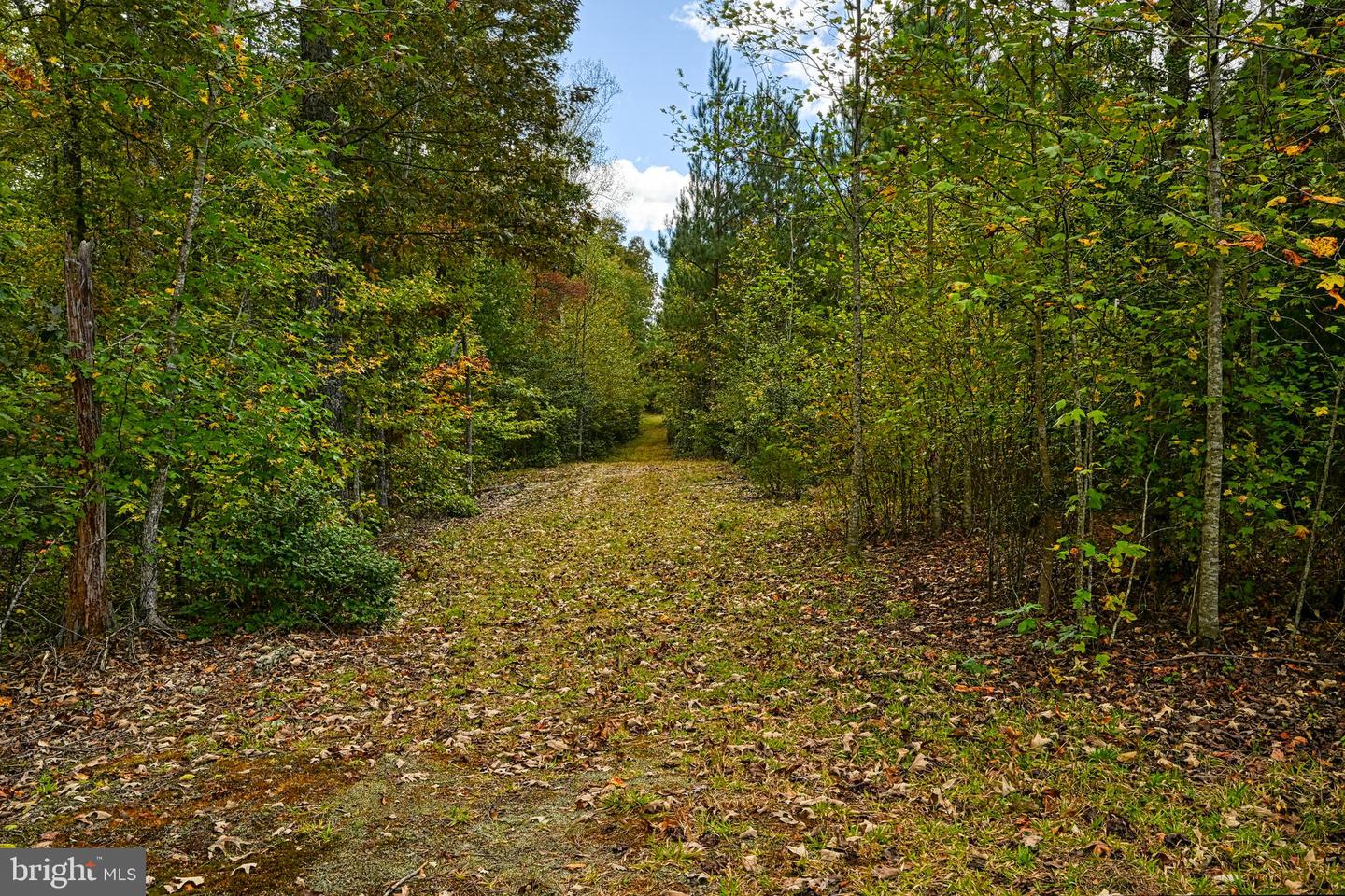 CROSS COUNTRY RD., MINERAL, Virginia 23117, ,Farm,For sale,CROSS COUNTRY RD.,VALA2008722 MLS # VALA2008722