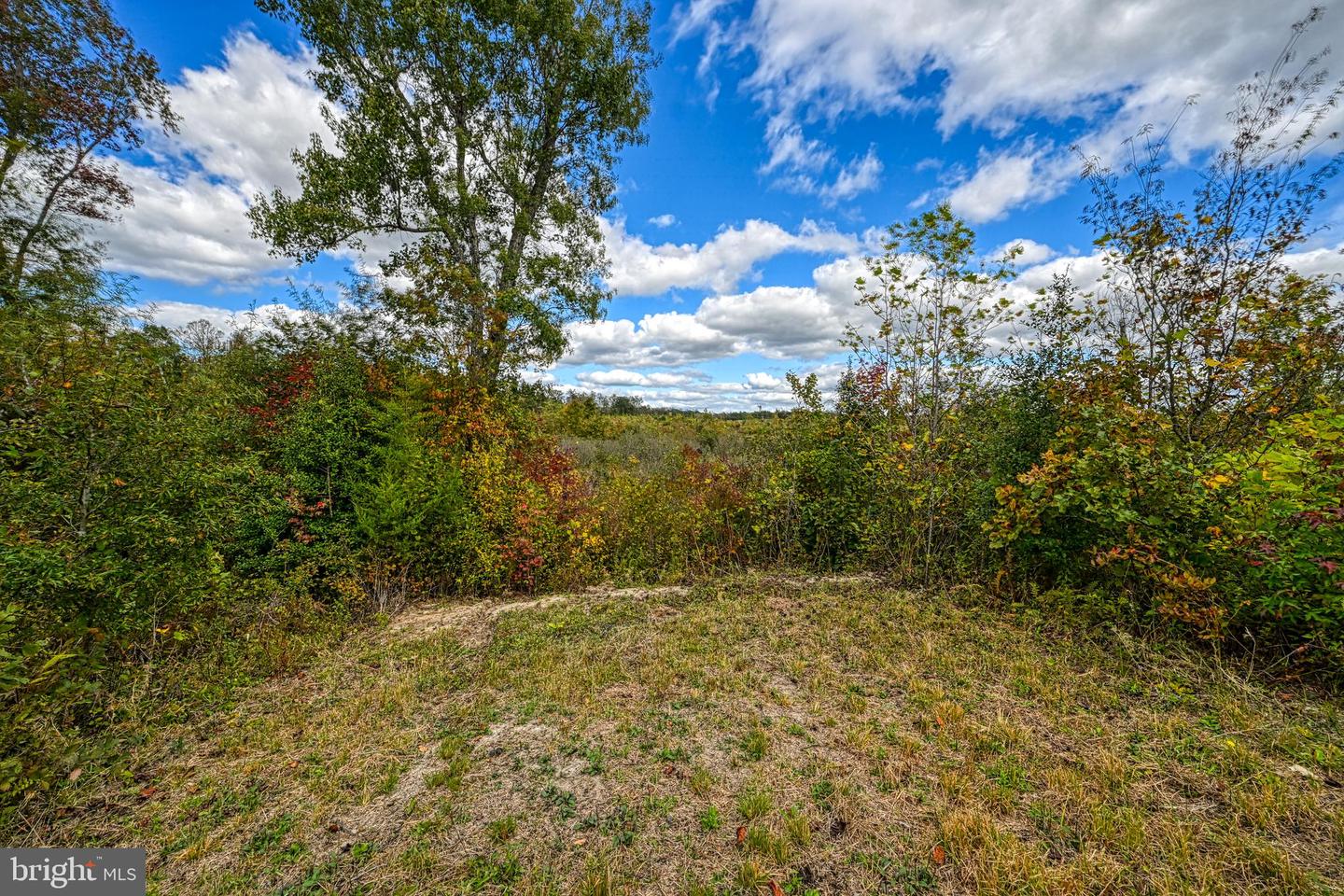 CROSS COUNTRY RD., MINERAL, Virginia 23117, ,Farm,For sale,CROSS COUNTRY RD.,VALA2008722 MLS # VALA2008722