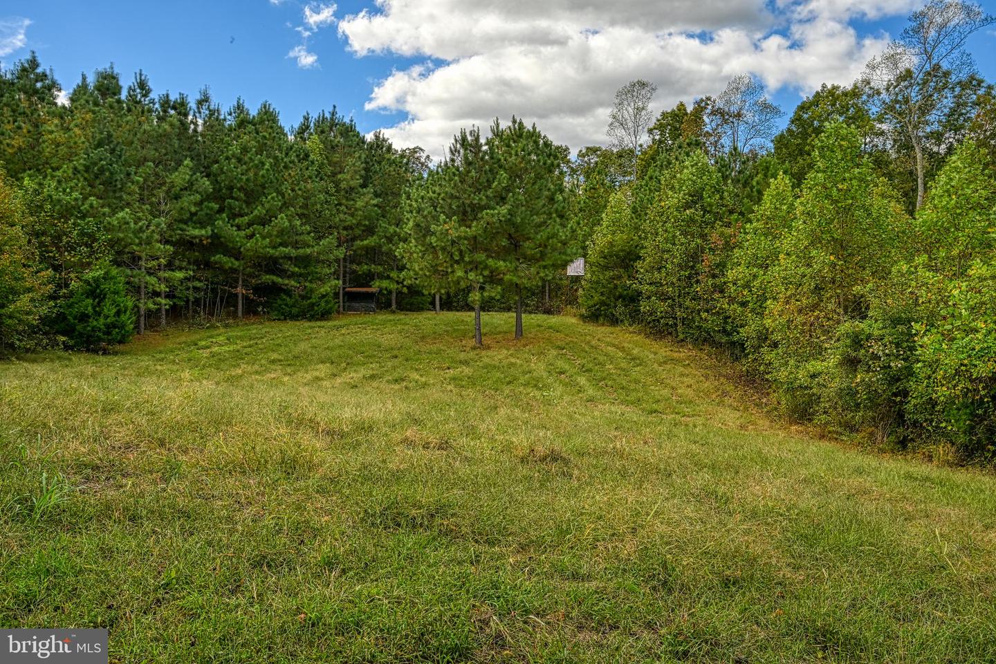 CROSS COUNTRY RD., MINERAL, Virginia 23117, ,Farm,For sale,CROSS COUNTRY RD.,VALA2008722 MLS # VALA2008722