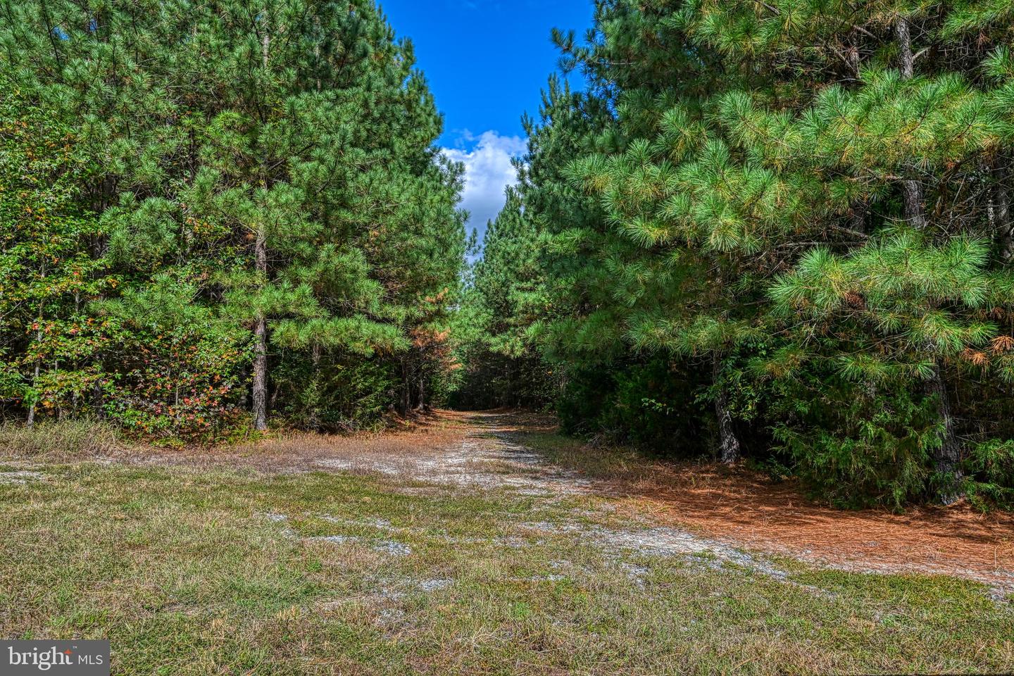 CROSS COUNTRY RD., MINERAL, Virginia 23117, ,Farm,For sale,CROSS COUNTRY RD.,VALA2008722 MLS # VALA2008722
