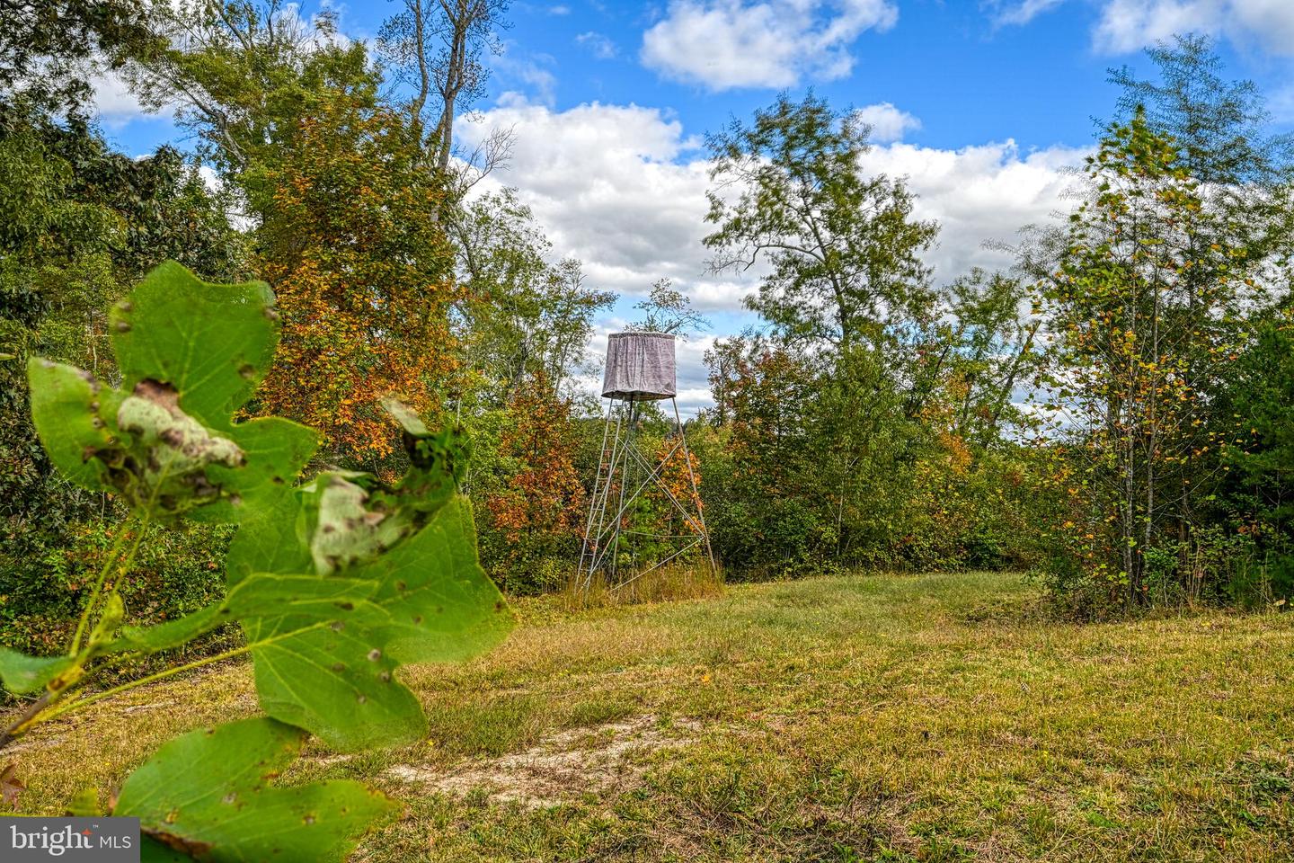 CROSS COUNTRY RD., MINERAL, Virginia 23117, ,Farm,For sale,CROSS COUNTRY RD.,VALA2008722 MLS # VALA2008722