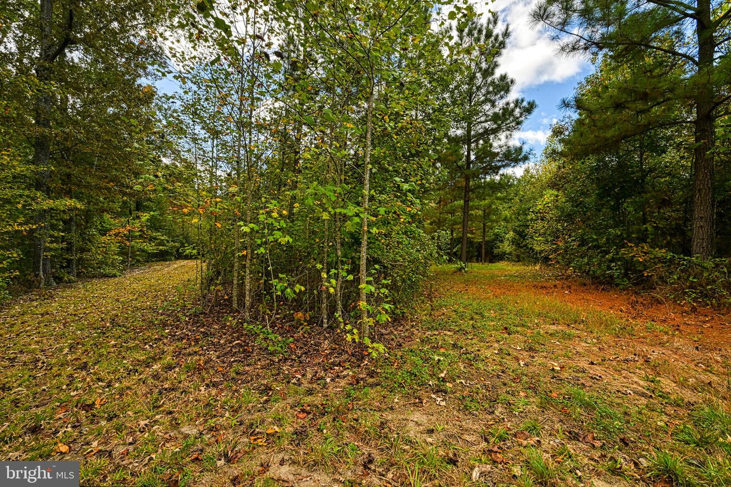 CROSS COUNTRY RD., MINERAL, Virginia 23117, ,Farm,For sale,CROSS COUNTRY RD.,VALA2008722 MLS # VALA2008722