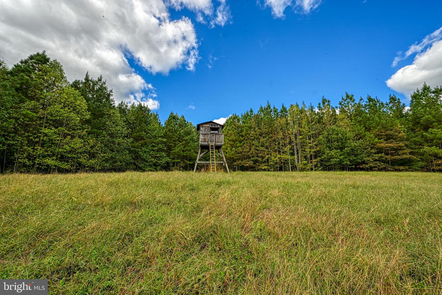 CROSS COUNTRY RD., MINERAL, Virginia 23117, ,Farm,For sale,CROSS COUNTRY RD.,VALA2008722 MLS # VALA2008722