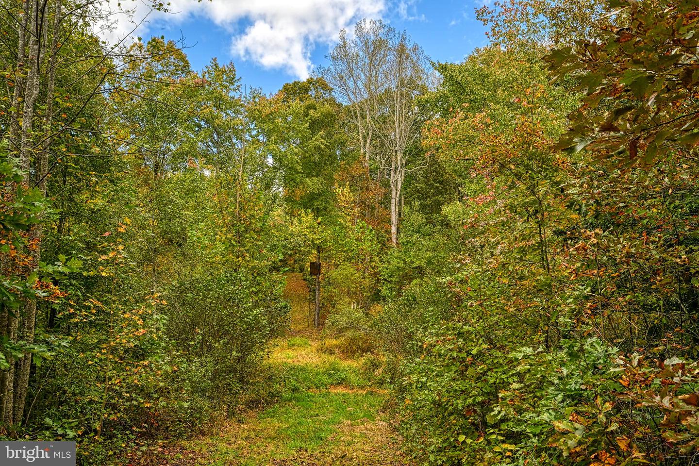 CROSS COUNTRY RD., MINERAL, Virginia 23117, ,Farm,For sale,CROSS COUNTRY RD.,VALA2008722 MLS # VALA2008722