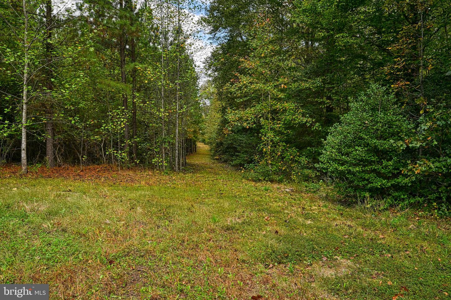CROSS COUNTRY RD., MINERAL, Virginia 23117, ,Farm,For sale,CROSS COUNTRY RD.,VALA2008722 MLS # VALA2008722