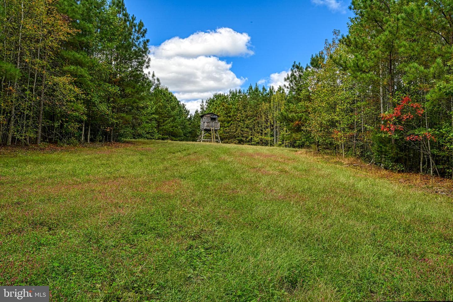 CROSS COUNTRY RD., MINERAL, Virginia 23117, ,Farm,For sale,CROSS COUNTRY RD.,VALA2008722 MLS # VALA2008722