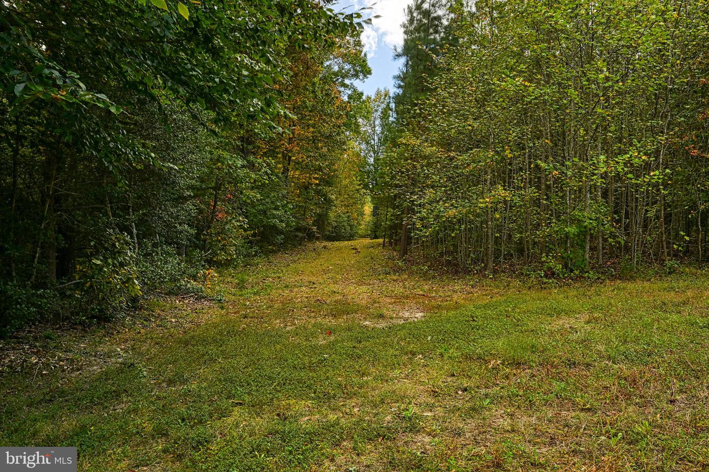 CROSS COUNTRY RD., MINERAL, Virginia 23117, ,Farm,For sale,CROSS COUNTRY RD.,VALA2008722 MLS # VALA2008722