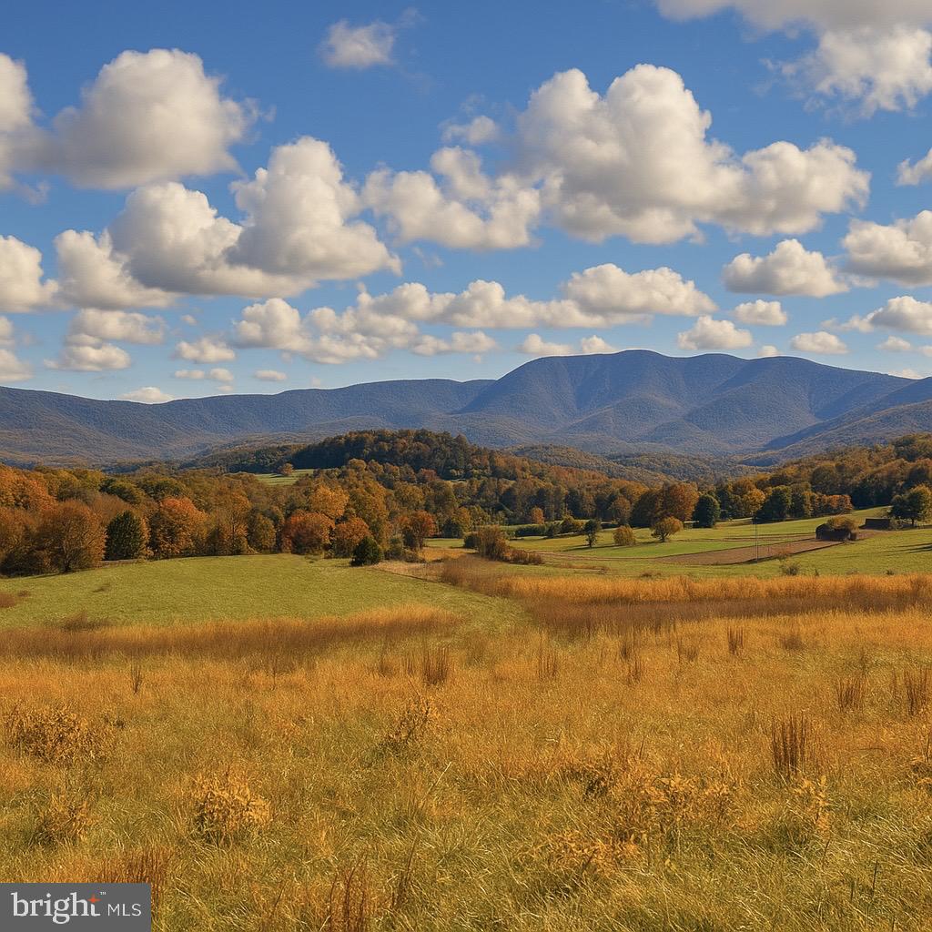 LOT 63B BUCK MOUNTAIN RD, BENTONVILLE, Virginia 22610, ,Land,For sale,LOT 63B BUCK MOUNTAIN RD,VAWR2012556 MLS # VAWR2012556
