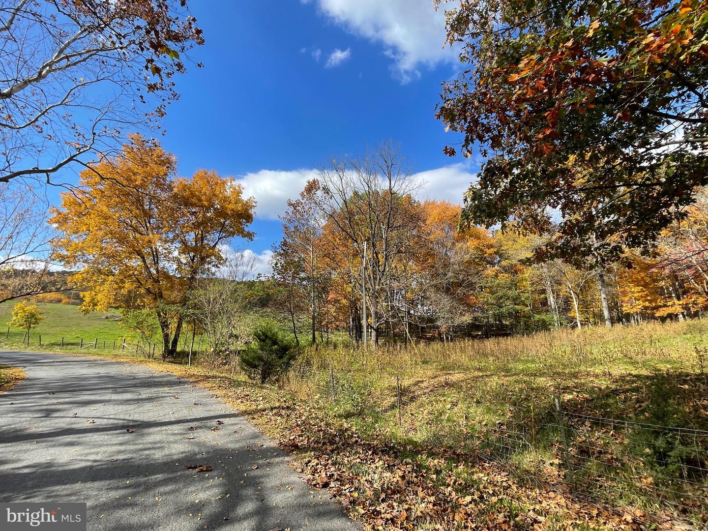 LOT 63B BUCK MOUNTAIN RD, BENTONVILLE, Virginia 22610, ,Land,For sale,LOT 63B BUCK MOUNTAIN RD,VAWR2012556 MLS # VAWR2012556