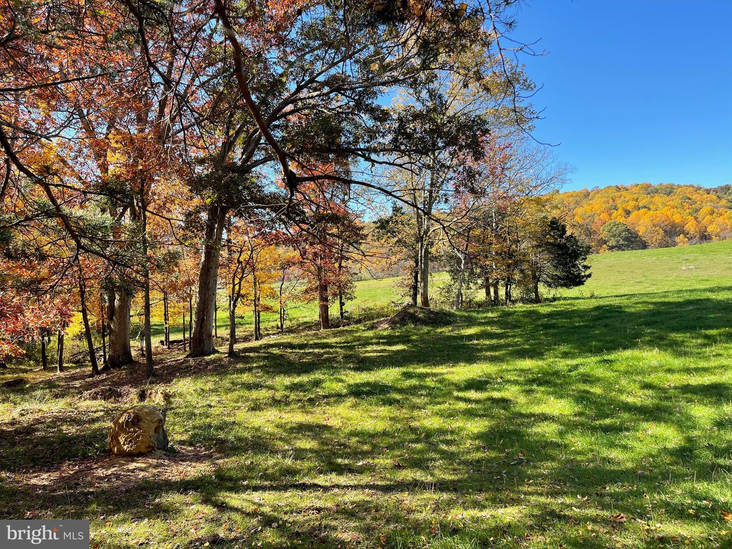 LOT 63B BUCK MOUNTAIN RD, BENTONVILLE, Virginia 22610, ,Land,For sale,LOT 63B BUCK MOUNTAIN RD,VAWR2012556 MLS # VAWR2012556