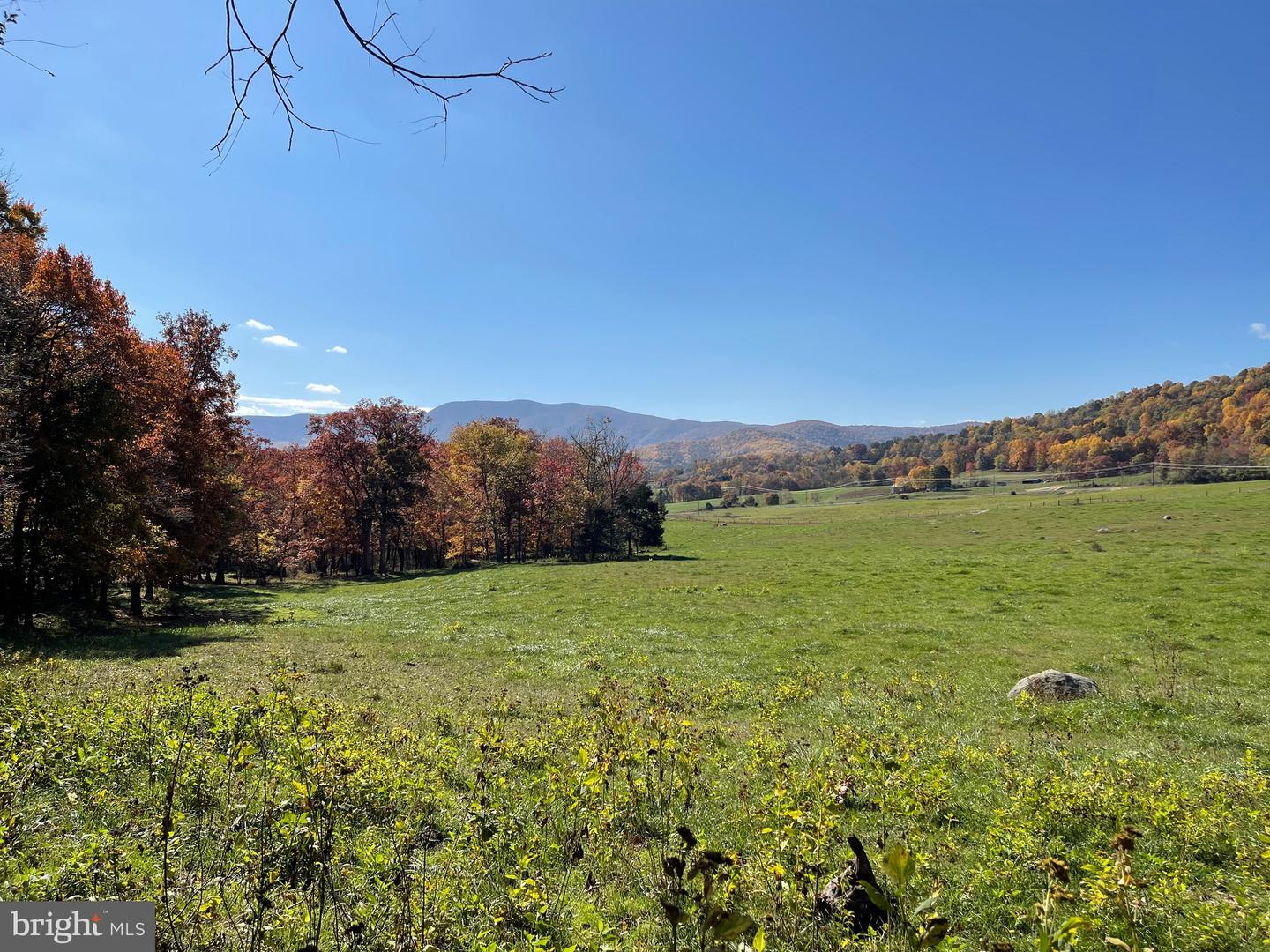 LOT 63B BUCK MOUNTAIN RD, BENTONVILLE, Virginia 22610, ,Land,For sale,LOT 63B BUCK MOUNTAIN RD,VAWR2012556 MLS # VAWR2012556