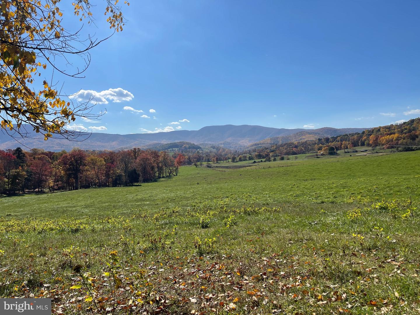 LOT 63B BUCK MOUNTAIN RD, BENTONVILLE, Virginia 22610, ,Land,For sale,LOT 63B BUCK MOUNTAIN RD,VAWR2012556 MLS # VAWR2012556