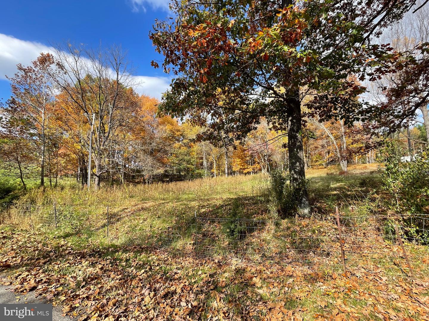 LOT 63B BUCK MOUNTAIN RD, BENTONVILLE, Virginia 22610, ,Land,For sale,LOT 63B BUCK MOUNTAIN RD,VAWR2012556 MLS # VAWR2012556