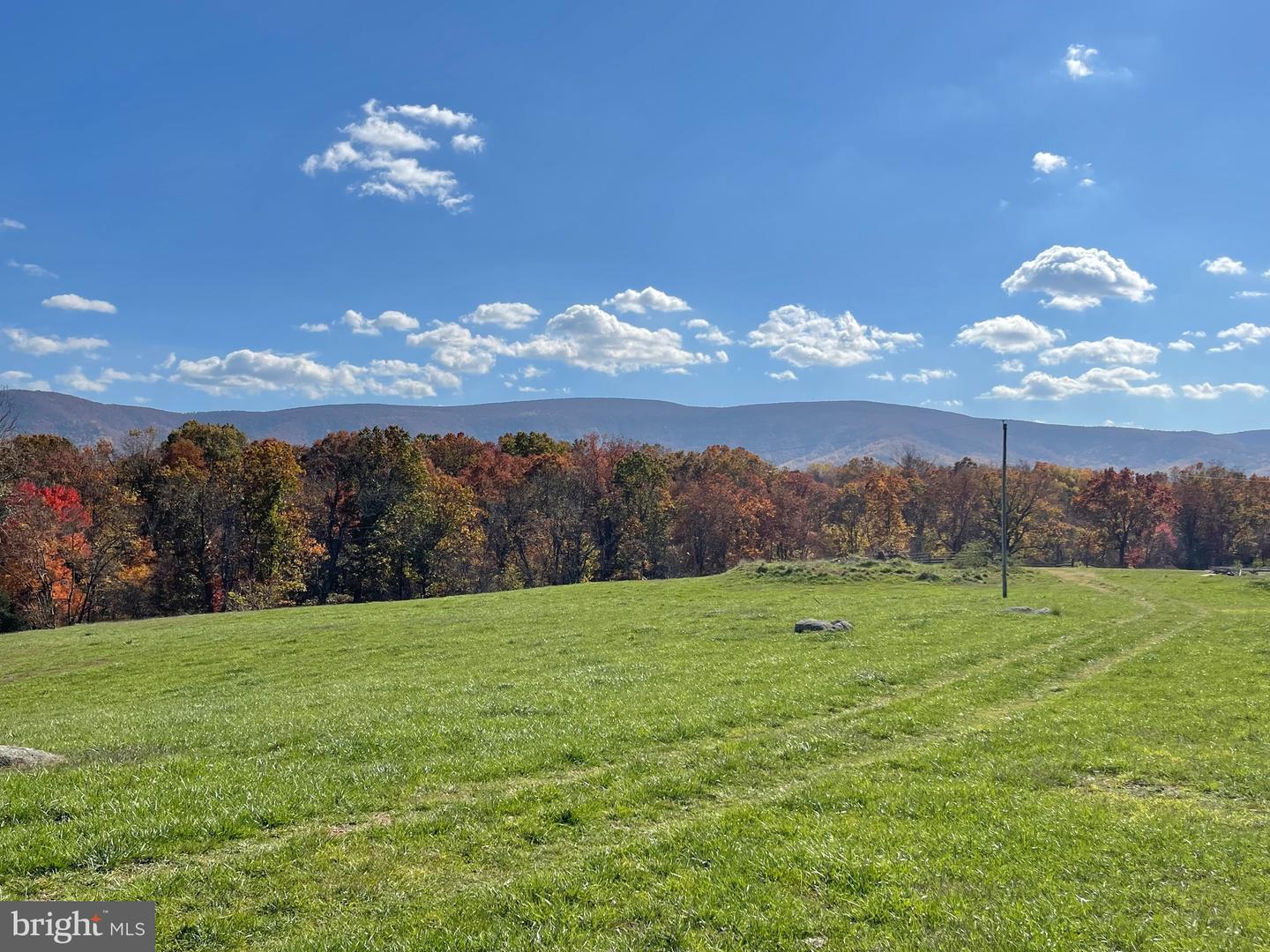 LOT 63B BUCK MOUNTAIN RD, BENTONVILLE, Virginia 22610, ,Land,For sale,LOT 63B BUCK MOUNTAIN RD,VAWR2012556 MLS # VAWR2012556