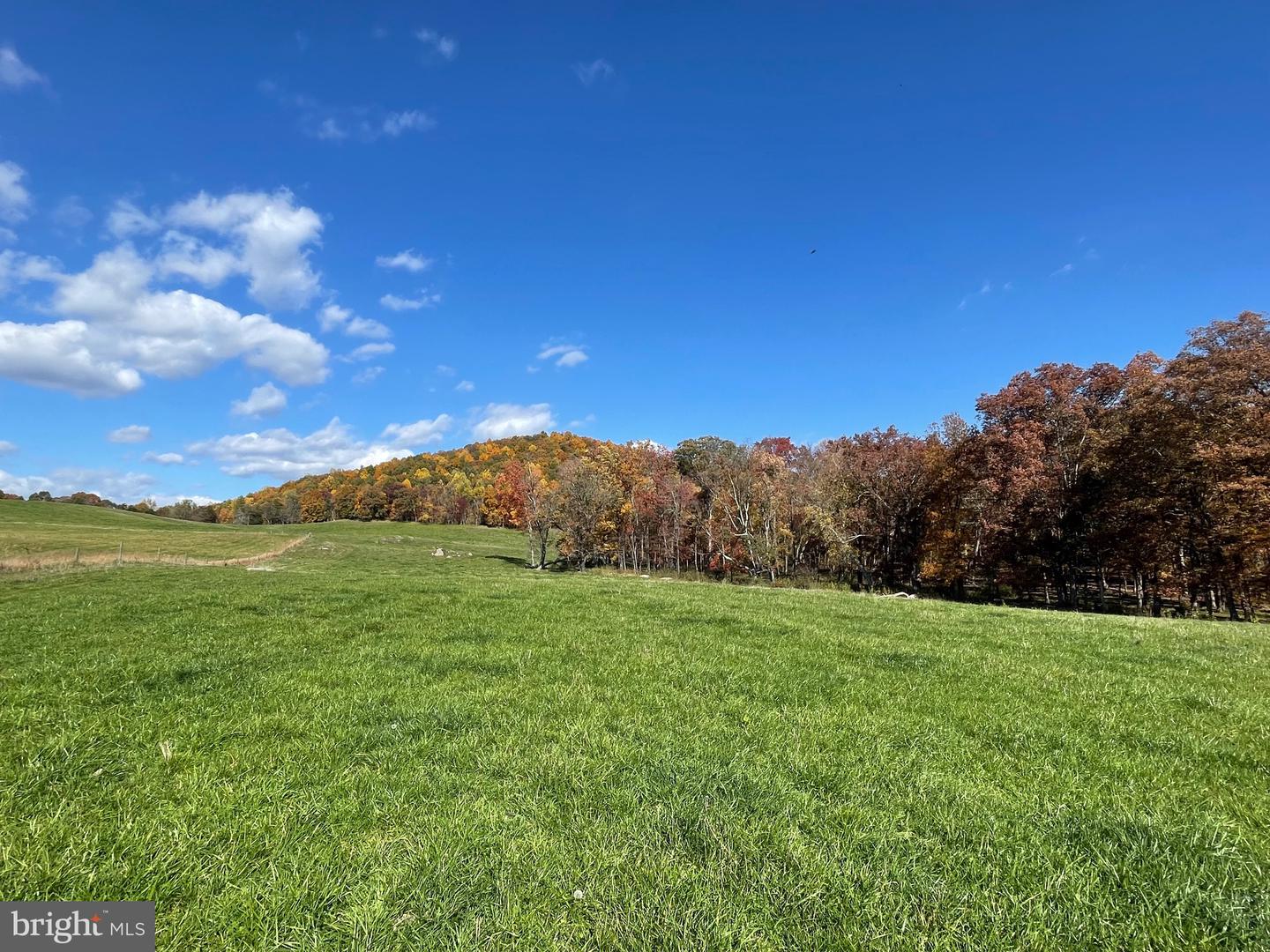LOT 63B BUCK MOUNTAIN RD, BENTONVILLE, Virginia 22610, ,Land,For sale,LOT 63B BUCK MOUNTAIN RD,VAWR2012556 MLS # VAWR2012556