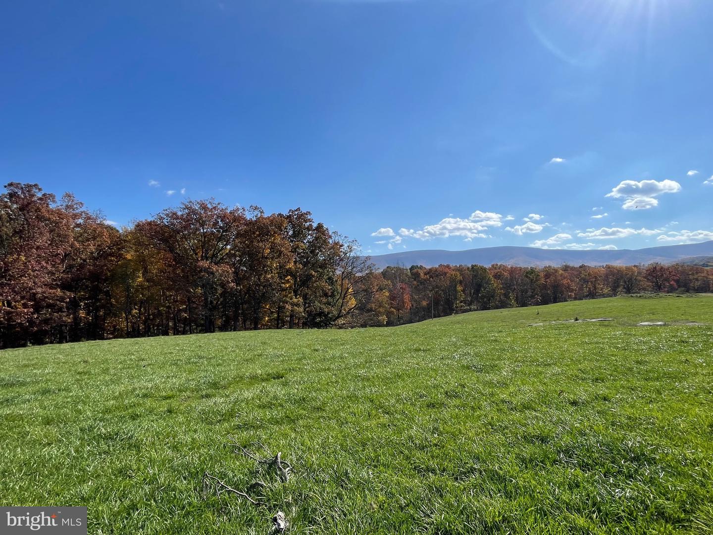 LOT 63B BUCK MOUNTAIN RD, BENTONVILLE, Virginia 22610, ,Land,For sale,LOT 63B BUCK MOUNTAIN RD,VAWR2012556 MLS # VAWR2012556