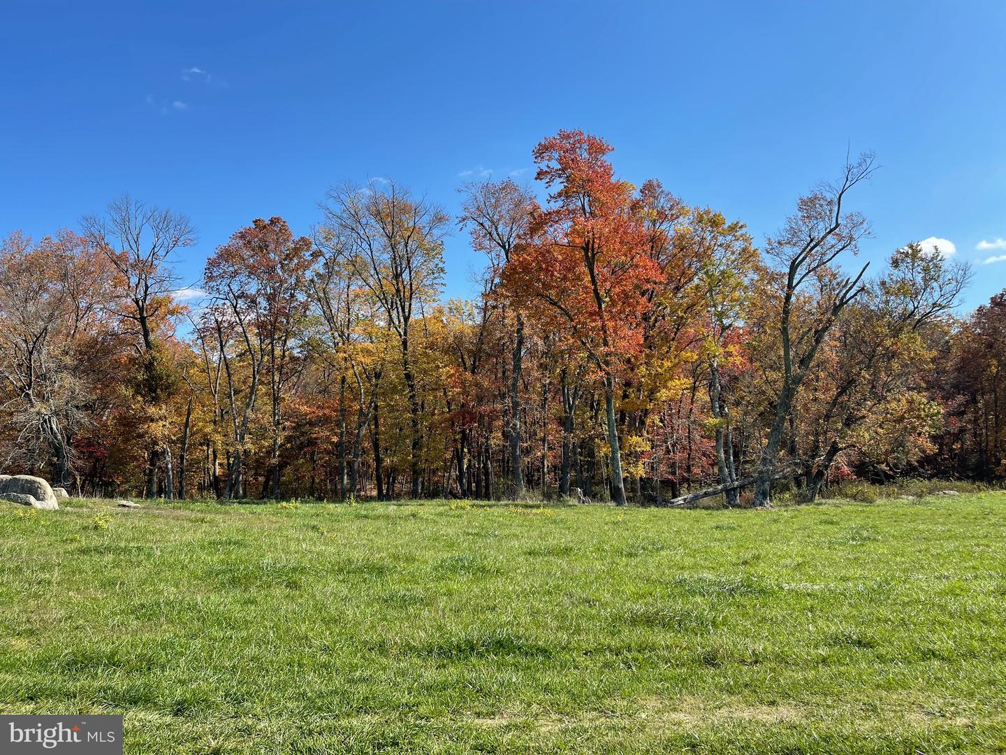 LOT 63B BUCK MOUNTAIN RD, BENTONVILLE, Virginia 22610, ,Land,For sale,LOT 63B BUCK MOUNTAIN RD,VAWR2012556 MLS # VAWR2012556