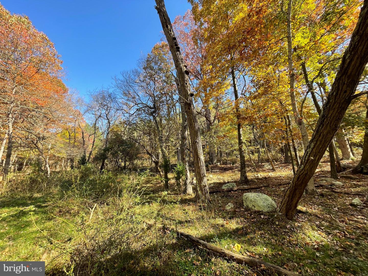 LOT 63B BUCK MOUNTAIN RD, BENTONVILLE, Virginia 22610, ,Land,For sale,LOT 63B BUCK MOUNTAIN RD,VAWR2012556 MLS # VAWR2012556