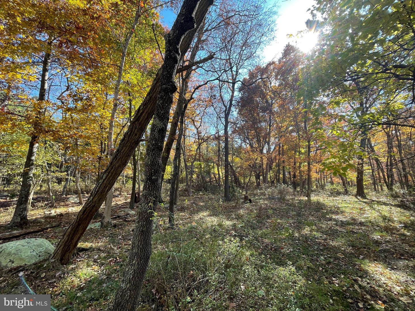 LOT 63B BUCK MOUNTAIN RD, BENTONVILLE, Virginia 22610, ,Land,For sale,LOT 63B BUCK MOUNTAIN RD,VAWR2012556 MLS # VAWR2012556