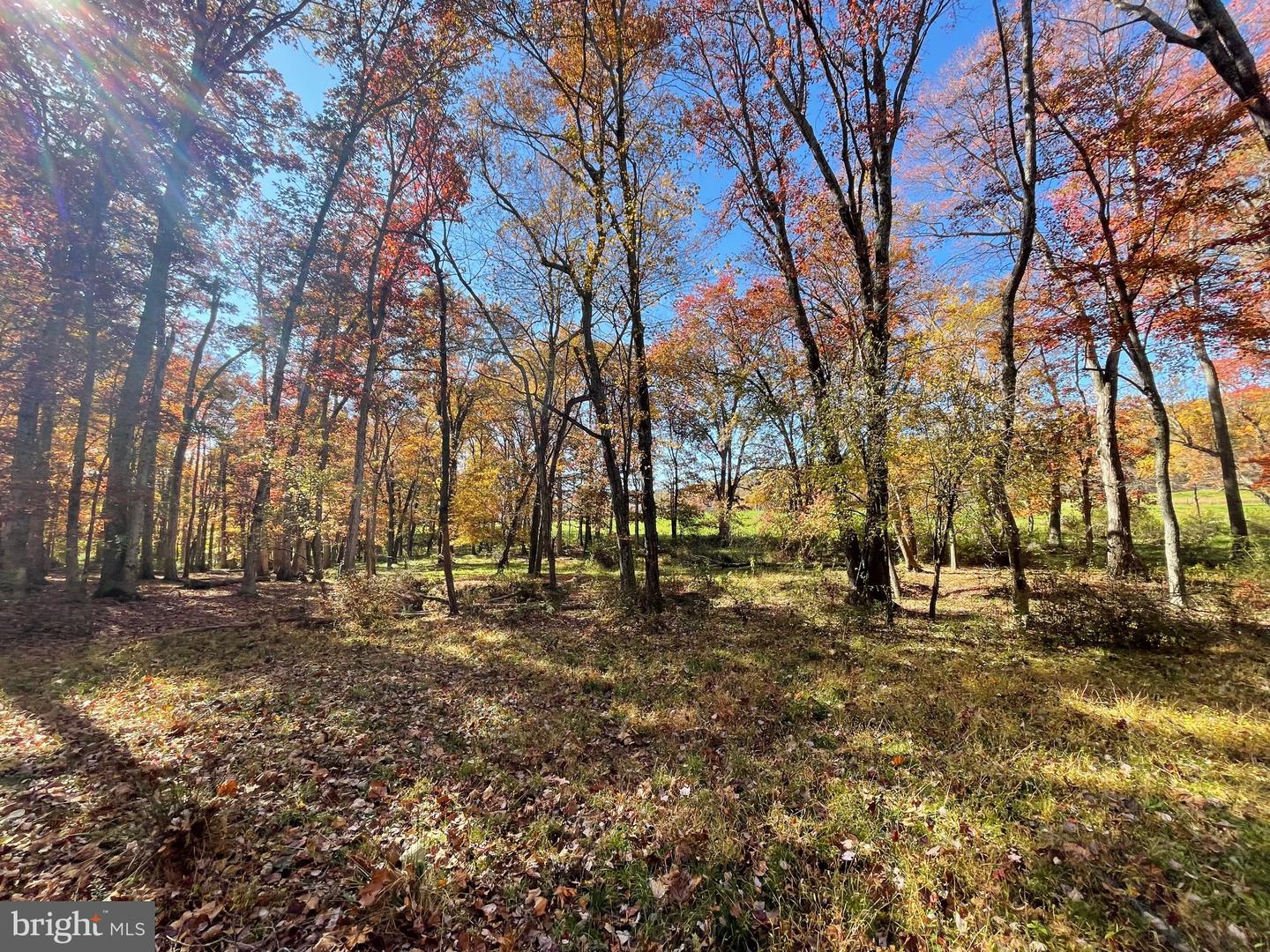 LOT 63B BUCK MOUNTAIN RD, BENTONVILLE, Virginia 22610, ,Land,For sale,LOT 63B BUCK MOUNTAIN RD,VAWR2012556 MLS # VAWR2012556