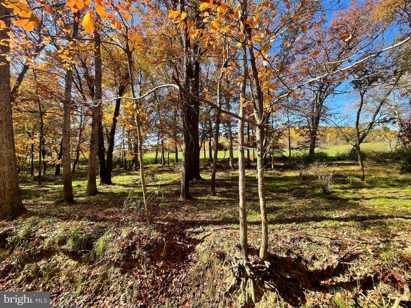 LOT 63B BUCK MOUNTAIN RD, BENTONVILLE, Virginia 22610, ,Land,For sale,LOT 63B BUCK MOUNTAIN RD,VAWR2012556 MLS # VAWR2012556