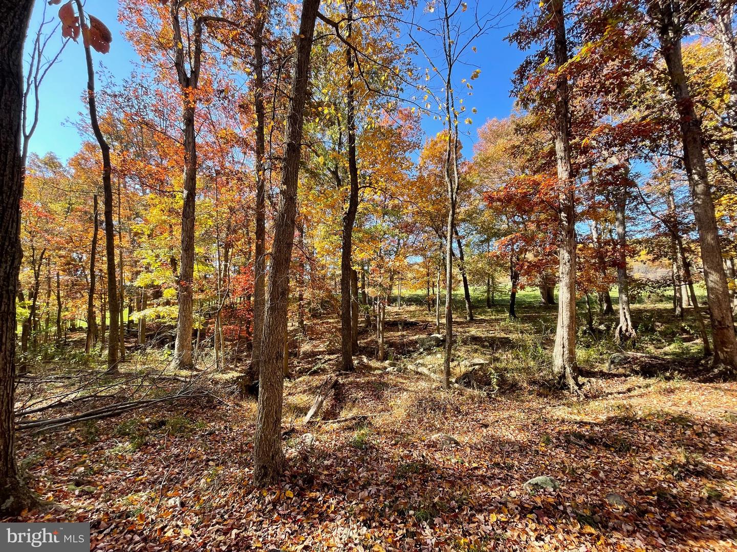 LOT 63B BUCK MOUNTAIN RD, BENTONVILLE, Virginia 22610, ,Land,For sale,LOT 63B BUCK MOUNTAIN RD,VAWR2012556 MLS # VAWR2012556
