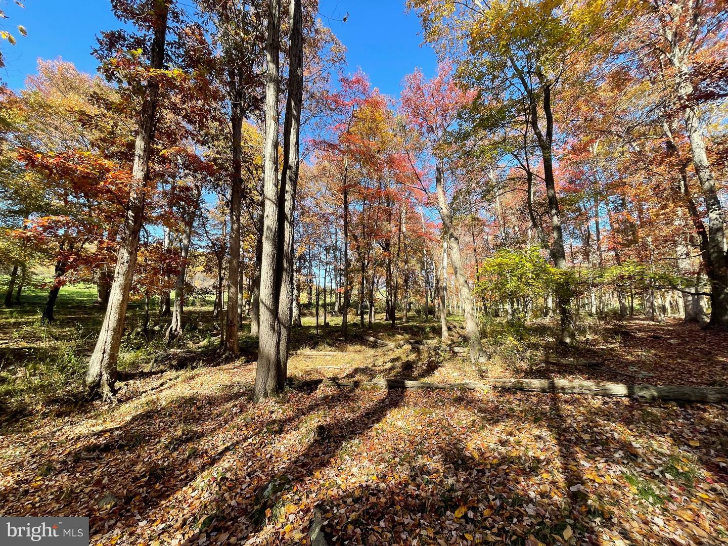 LOT 63B BUCK MOUNTAIN RD, BENTONVILLE, Virginia 22610, ,Land,For sale,LOT 63B BUCK MOUNTAIN RD,VAWR2012556 MLS # VAWR2012556