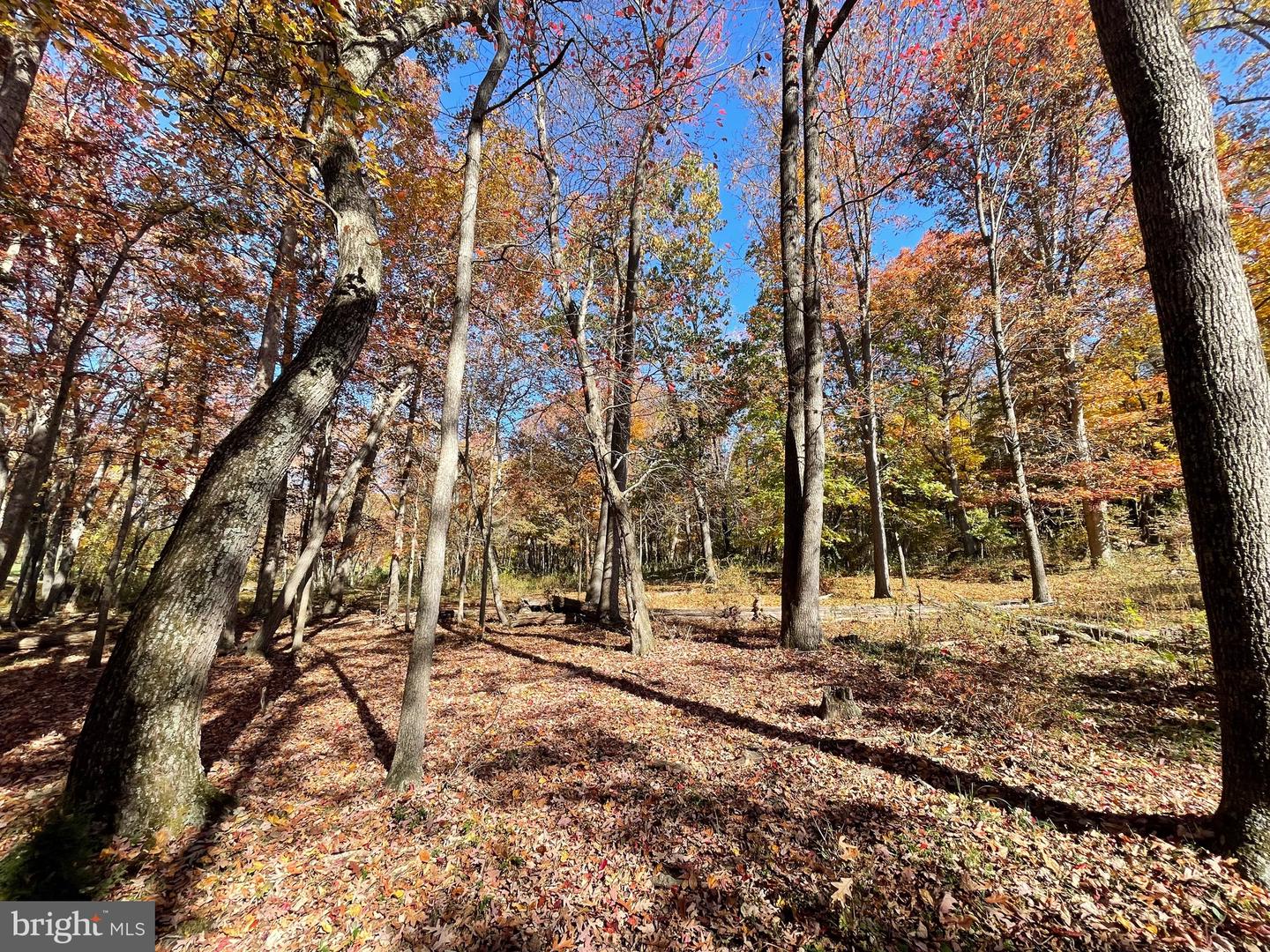 LOT 63B BUCK MOUNTAIN RD, BENTONVILLE, Virginia 22610, ,Land,For sale,LOT 63B BUCK MOUNTAIN RD,VAWR2012556 MLS # VAWR2012556