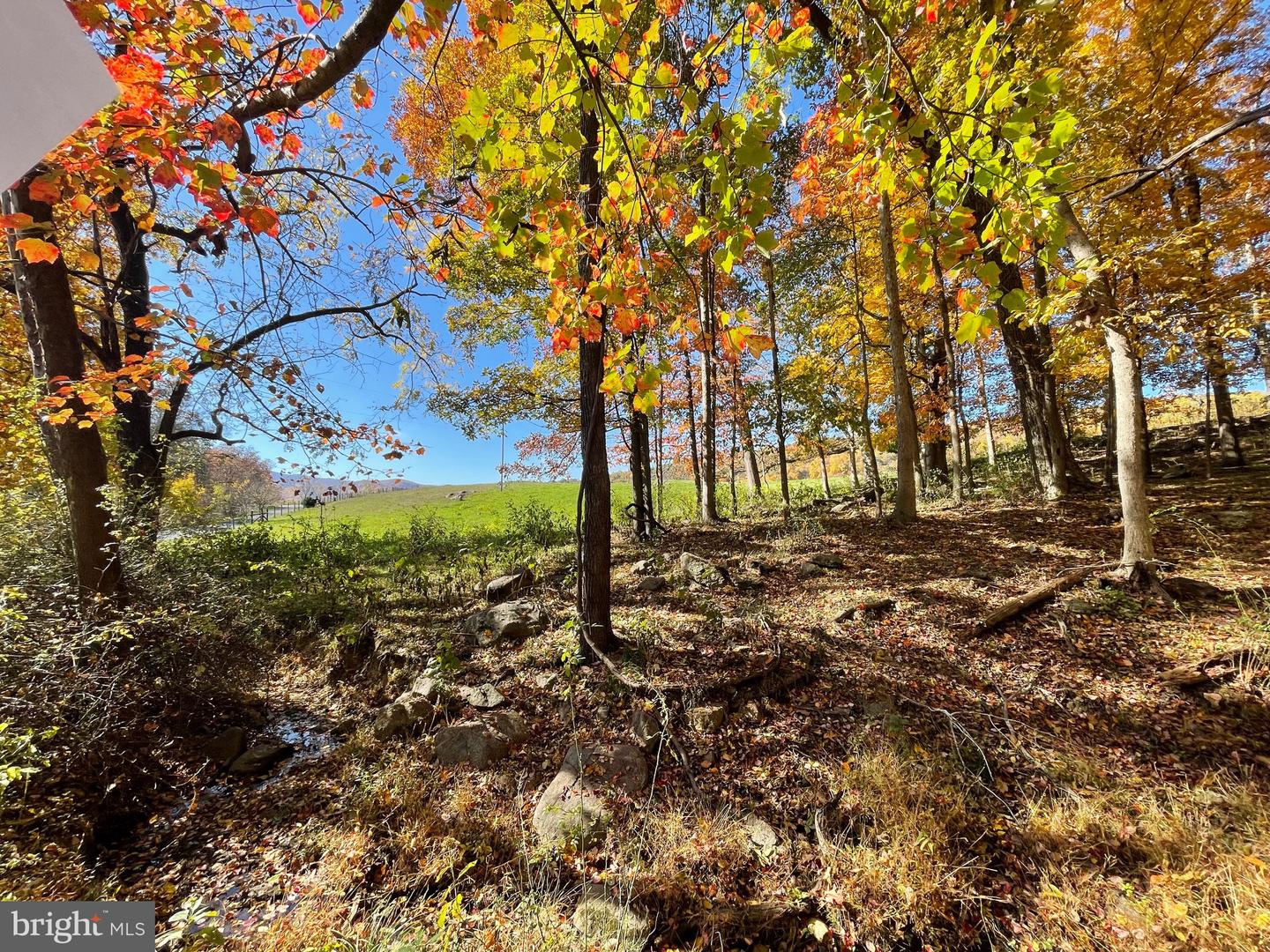 LOT 63B BUCK MOUNTAIN RD, BENTONVILLE, Virginia 22610, ,Land,For sale,LOT 63B BUCK MOUNTAIN RD,VAWR2012556 MLS # VAWR2012556