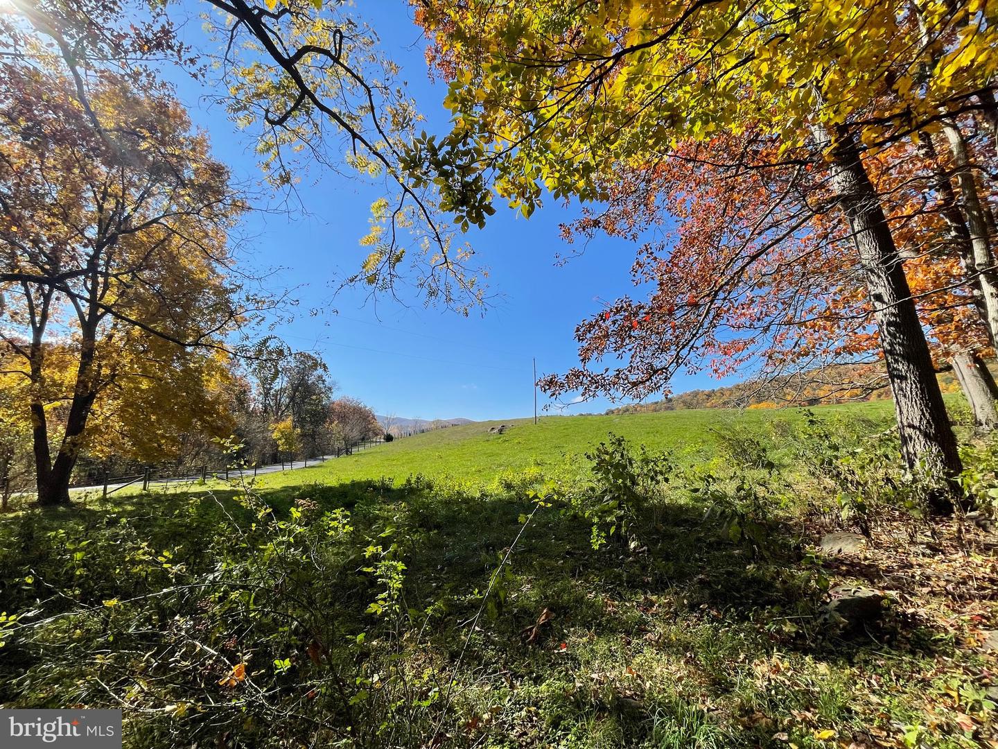 LOT 63B BUCK MOUNTAIN RD, BENTONVILLE, Virginia 22610, ,Land,For sale,LOT 63B BUCK MOUNTAIN RD,VAWR2012556 MLS # VAWR2012556