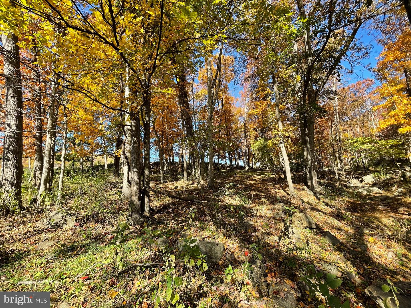 LOT 63B BUCK MOUNTAIN RD, BENTONVILLE, Virginia 22610, ,Land,For sale,LOT 63B BUCK MOUNTAIN RD,VAWR2012556 MLS # VAWR2012556