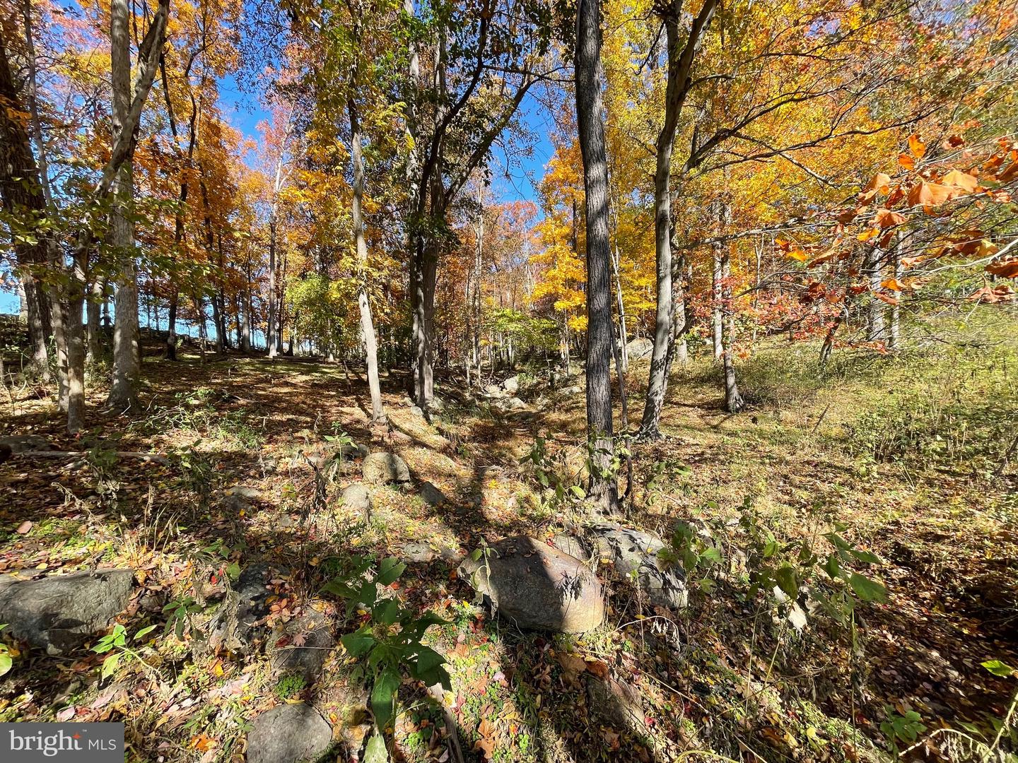 LOT 63B BUCK MOUNTAIN RD, BENTONVILLE, Virginia 22610, ,Land,For sale,LOT 63B BUCK MOUNTAIN RD,VAWR2012556 MLS # VAWR2012556