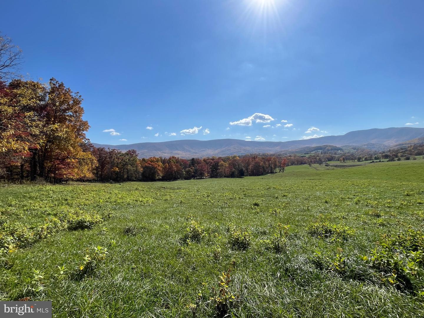 LOT 63B BUCK MOUNTAIN RD, BENTONVILLE, Virginia 22610, ,Land,For sale,LOT 63B BUCK MOUNTAIN RD,VAWR2012556 MLS # VAWR2012556
