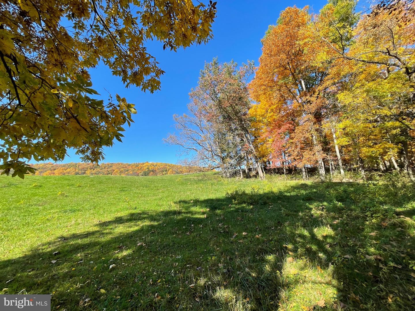 LOT 63B BUCK MOUNTAIN RD, BENTONVILLE, Virginia 22610, ,Land,For sale,LOT 63B BUCK MOUNTAIN RD,VAWR2012556 MLS # VAWR2012556