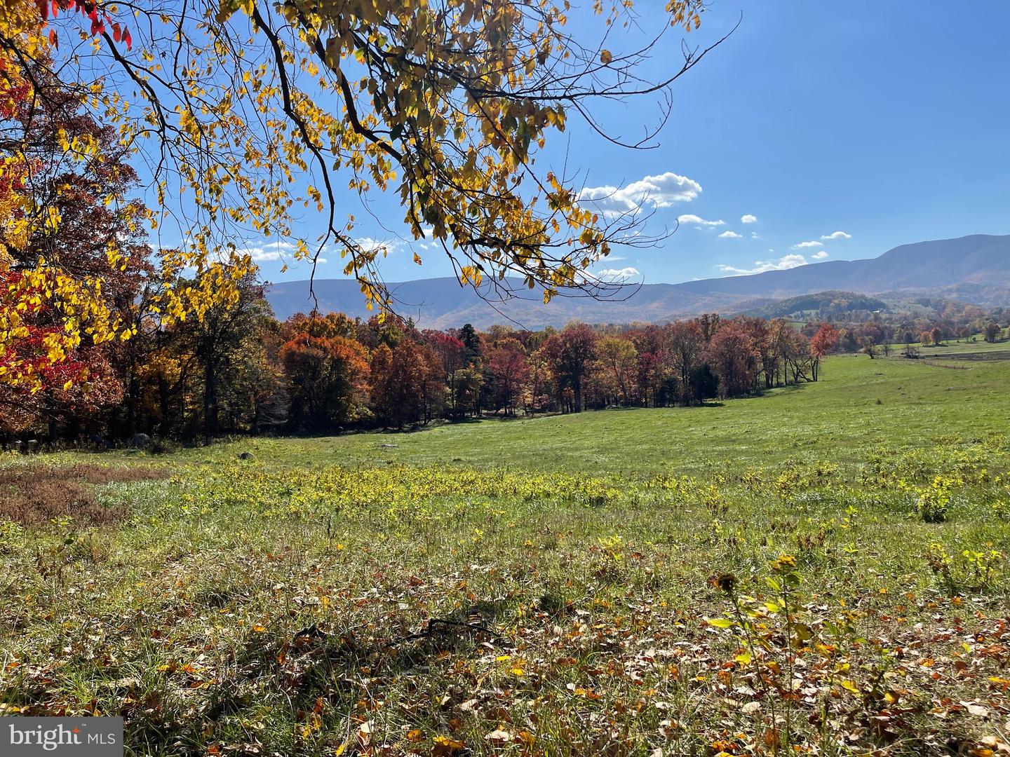 LOT 63B BUCK MOUNTAIN RD, BENTONVILLE, Virginia 22610, ,Land,For sale,LOT 63B BUCK MOUNTAIN RD,VAWR2012556 MLS # VAWR2012556
