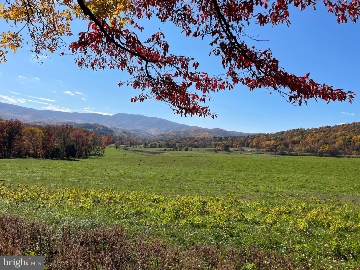 LOT 63B BUCK MOUNTAIN RD, BENTONVILLE, Virginia 22610, ,Land,For sale,LOT 63B BUCK MOUNTAIN RD,VAWR2012556 MLS # VAWR2012556