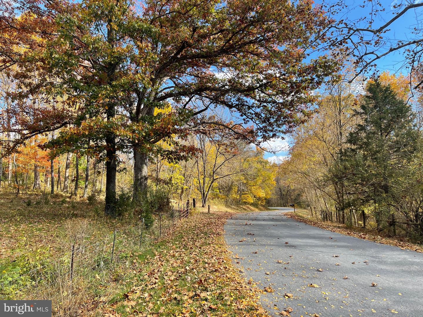 LOT 63B BUCK MOUNTAIN RD, BENTONVILLE, Virginia 22610, ,Land,For sale,LOT 63B BUCK MOUNTAIN RD,VAWR2012556 MLS # VAWR2012556