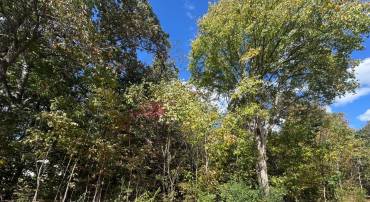 32 CEDAR DR, STERLING, Virginia 20164, ,Land,For sale,32 CEDAR DR,VALO2108918 MLS # VALO2108918