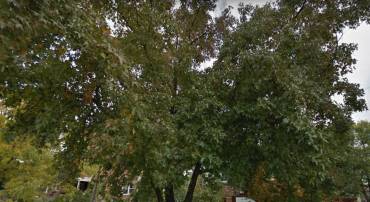 2109 S LOWELL ST, ARLINGTON, Virginia 22204, 4 Bedrooms Bedrooms, ,3 BathroomsBathrooms,Residential,For sale,2109 S LOWELL ST,VAAR2064654 MLS # VAAR2064654