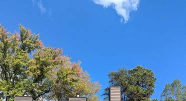 1545 BIRNAM DR, CHARLOTTESVILLE, Virginia 22901, 2 Bedrooms Bedrooms, ,2 BathroomsBathrooms,Residential,For sale,1545 BIRNAM DR,670004 MLS # 670004