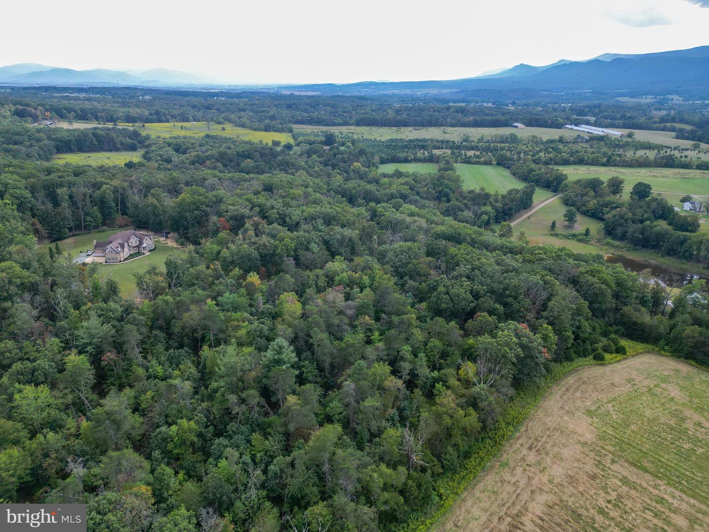 385 S MCDANIEL LN, SHENANDOAH, Virginia 22849, ,Land,For sale,385 S MCDANIEL LN,VAPA2005490 MLS # VAPA2005490