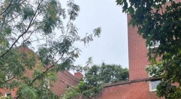1449 A ST NE #D, WASHINGTON, District Of Columbia 20002, 1 Bedroom Bedrooms, ,1 BathroomBathrooms,Residential,For sale,1449 A ST NE #D,DCDC2226054 MLS # DCDC2226054