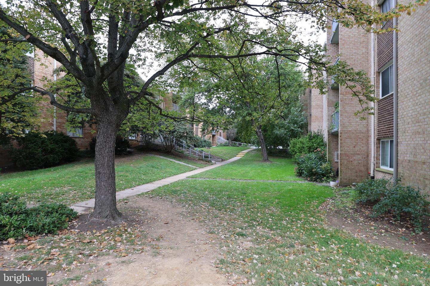2906 KINGS CHAPEL RD #4, FALLS CHURCH, Virginia 22042, 3 Bedrooms Bedrooms, ,1 BathroomBathrooms,Residential,For sale,2906 KINGS CHAPEL RD #4,VAFX2274288 MLS # VAFX2274288