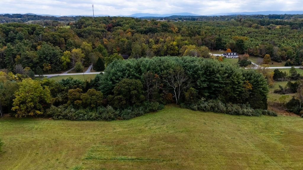 TBD FROG POND RD, STAUNTON, Virginia 24401, ,Land,TBD FROG POND RD,670028 MLS # 670028