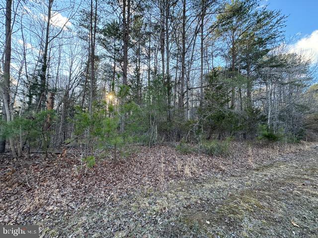 LOT 102 ACORN DR, MINERAL, Virginia 23117, ,Land,For sale,LOT 102 ACORN DR,VALA2007412 MLS # VALA2007412