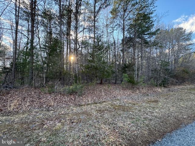 LOT 102 ACORN DR, MINERAL, Virginia 23117, ,Land,For sale,LOT 102 ACORN DR,VALA2007412 MLS # VALA2007412